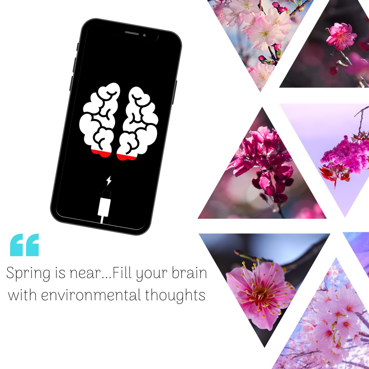 IWO Innovative World tweet media