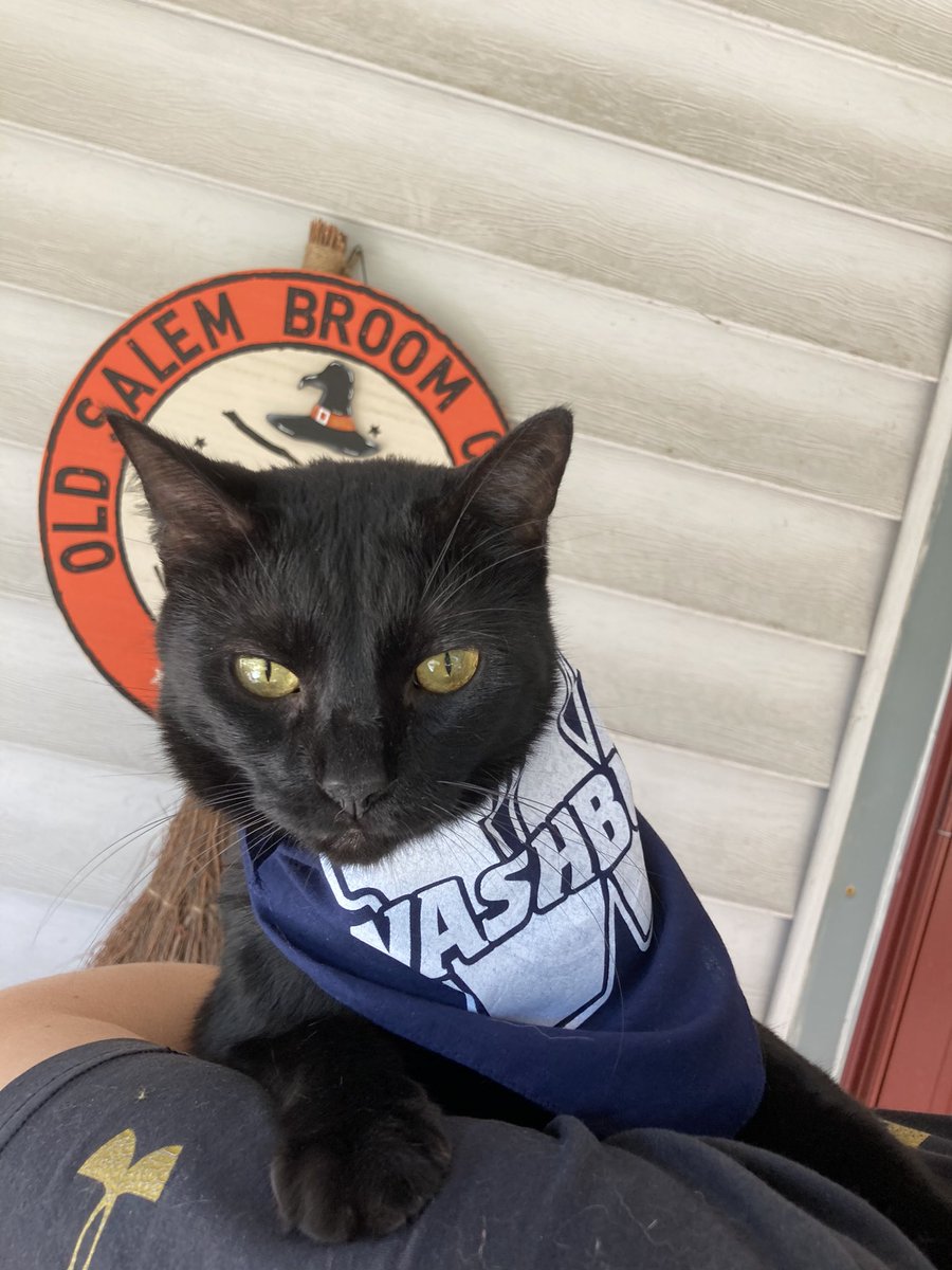 IchaDogs tweet media