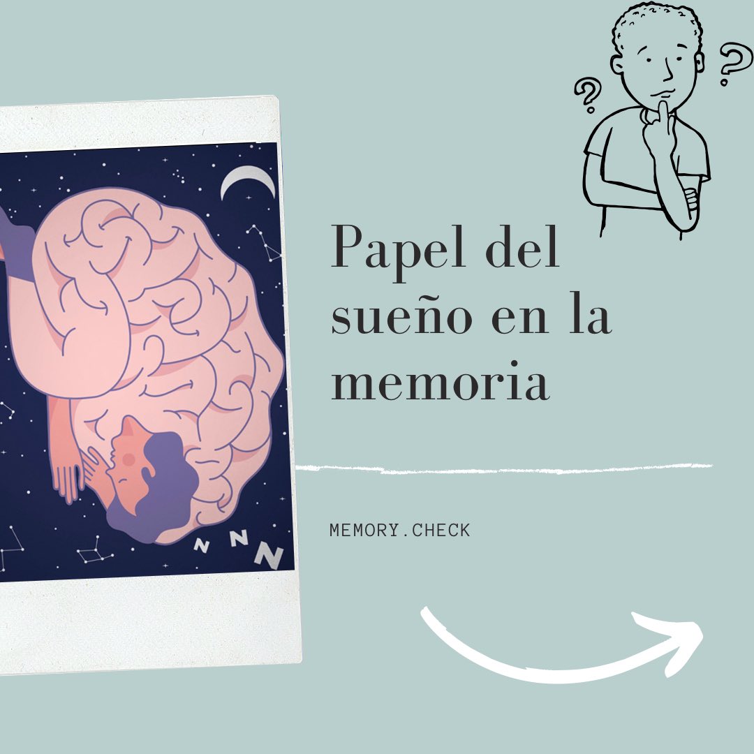 check_memory's tweet image. ¿Qué papel juega el sueño en tu memoria? 😴🧠
Si tienes curiosidad pásate en nuestro blog y no olvides dejar alguna duda, comentario o crítica (constructiva) 😁

memorydotcheck.blogspot.com/2021/02/bienve…

Muchas gracias!! 😊