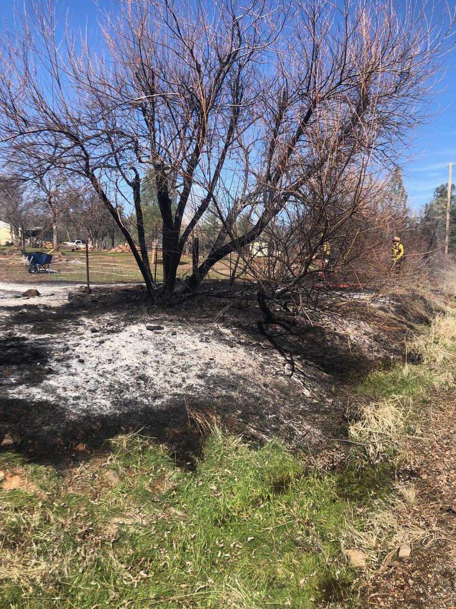 CALFIRETGU's tweet photo. Forward progress of the #MantonFire has stopped. Firefighters will remain on scene mopping up. #CALFIRETGU2021 https://t.co/BYh7wkwXLD