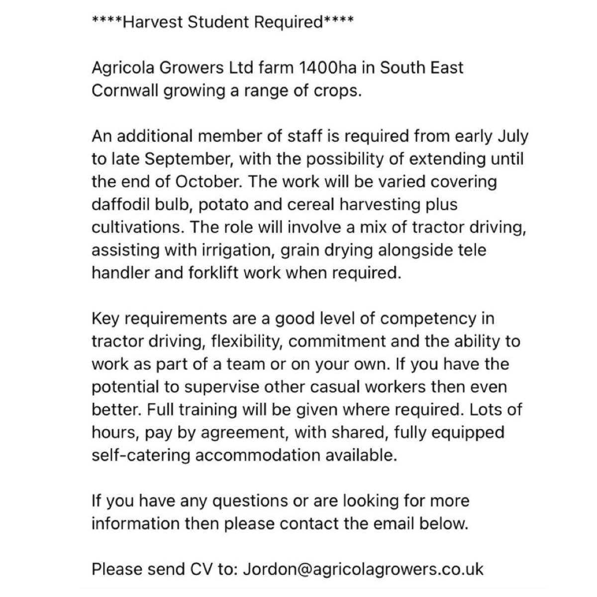 We are hiring for the summer