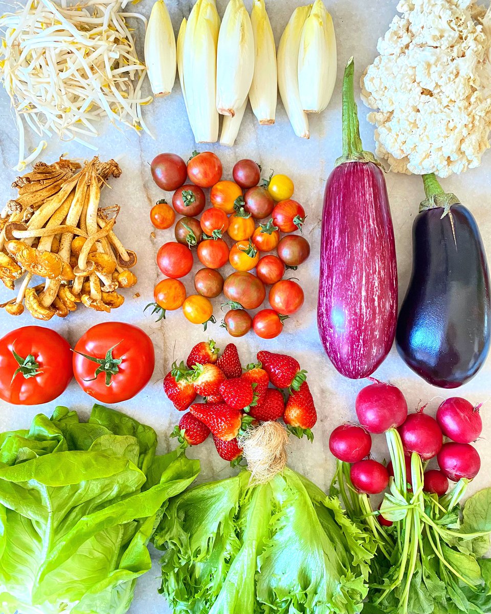 Voici le meilleur des légumes d’hiver frais, locaux et cultivés de manière responsable. Des 🍅et🍆 de toit, des 🥬et🍓 de serre, et des 🍄 cultivés à Montréal.
•
Here’s the best of fresh, local, responsibly grown winter veg. Rooftop 🍅&amp;🍆, greenhouse 🥬&amp;🍓, and Montreal-grown🍄.