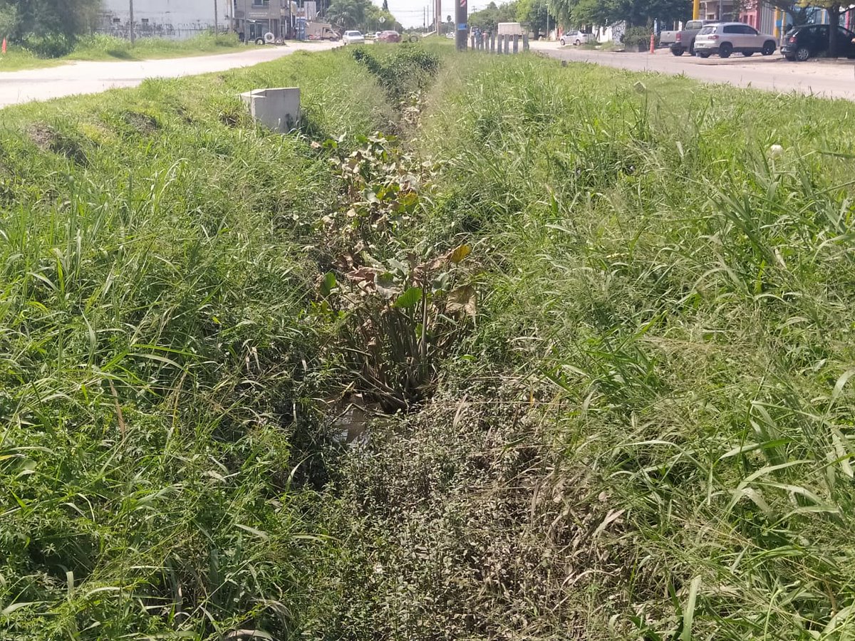 carlospereiraSF's tweet photo. #RiesgoHídrico
El zanjón de Aristóbulo del Valle no ha sido limpiado en todo un año.
Malezas de más de un metro, basura, camalotes y hasta árboles! 😲 hay en su interior.
La forma de evitar inundaciones es el mantenimiento permanente de los desagües y la gestión Jatón no lo hace. https://t.co/omg1eg2nCI