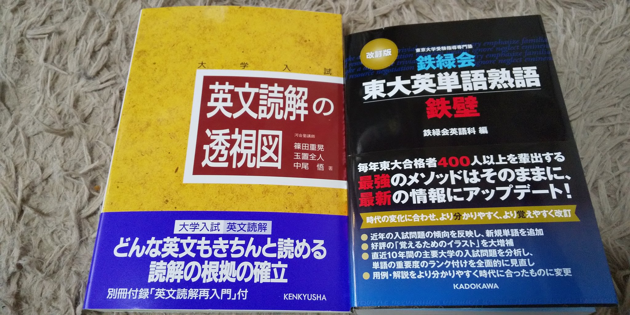Amazon.co.jp: 看護英語読解15のポイント : 園城寺 康子