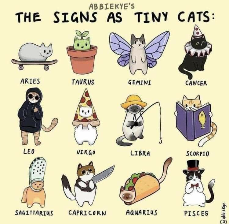 Cat Horoscope signs in Tiny Cats