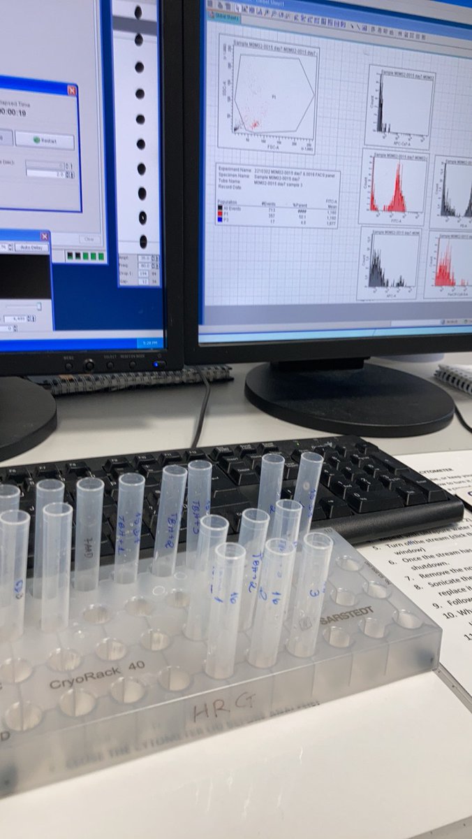 Busy day running FACS with MICAH samples <a href="/AlchepUK/">ALCHEP_UK</a> <a href="/UHP_NHS/">University Hospitals Plymouth NHS Trust</a> <a href="/RDInUHP/">Plymouth Research and Development Team @UHP_NHS</a> <a href="/DrADhanda/">Ashwin Dhanda (follow me on Bluesky)</a>