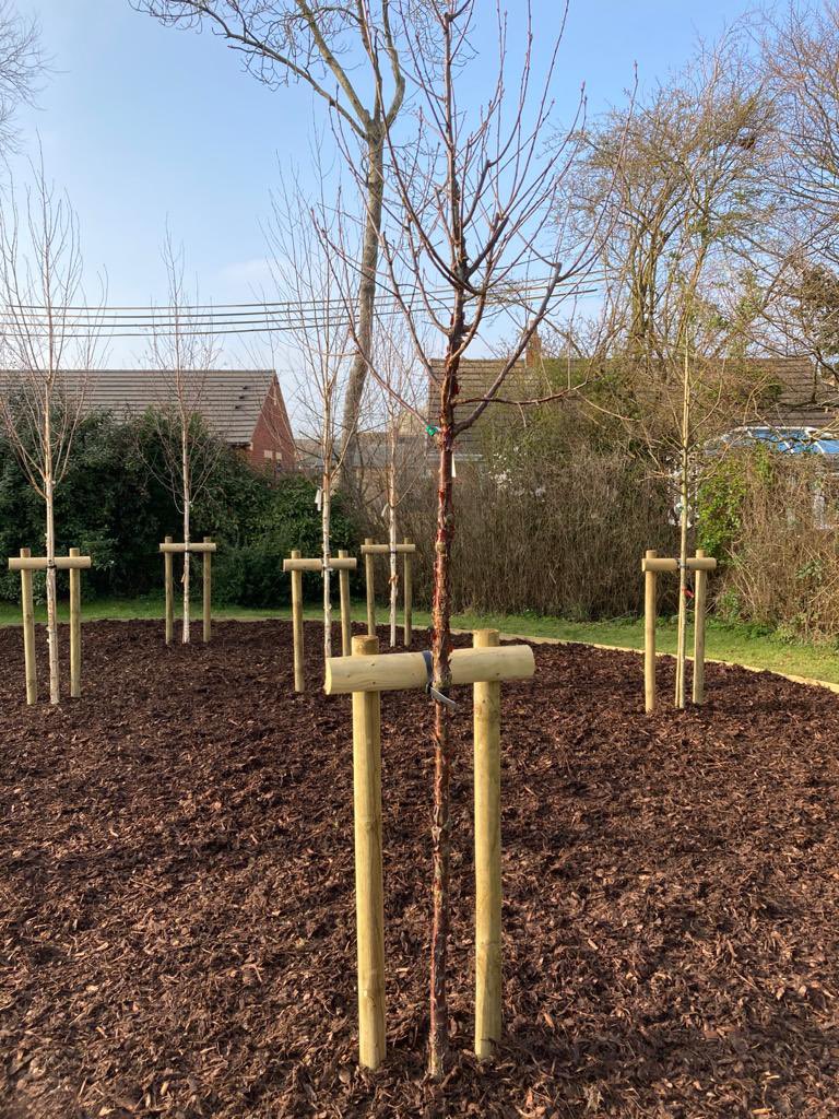 A variety of trees provided by us today, planted by www.castleacregardening.               We can source and supply all sizes and varieties of trees for your garden, message us for details 🌳

#plantingforthefuture #qualityplants #localnursery
