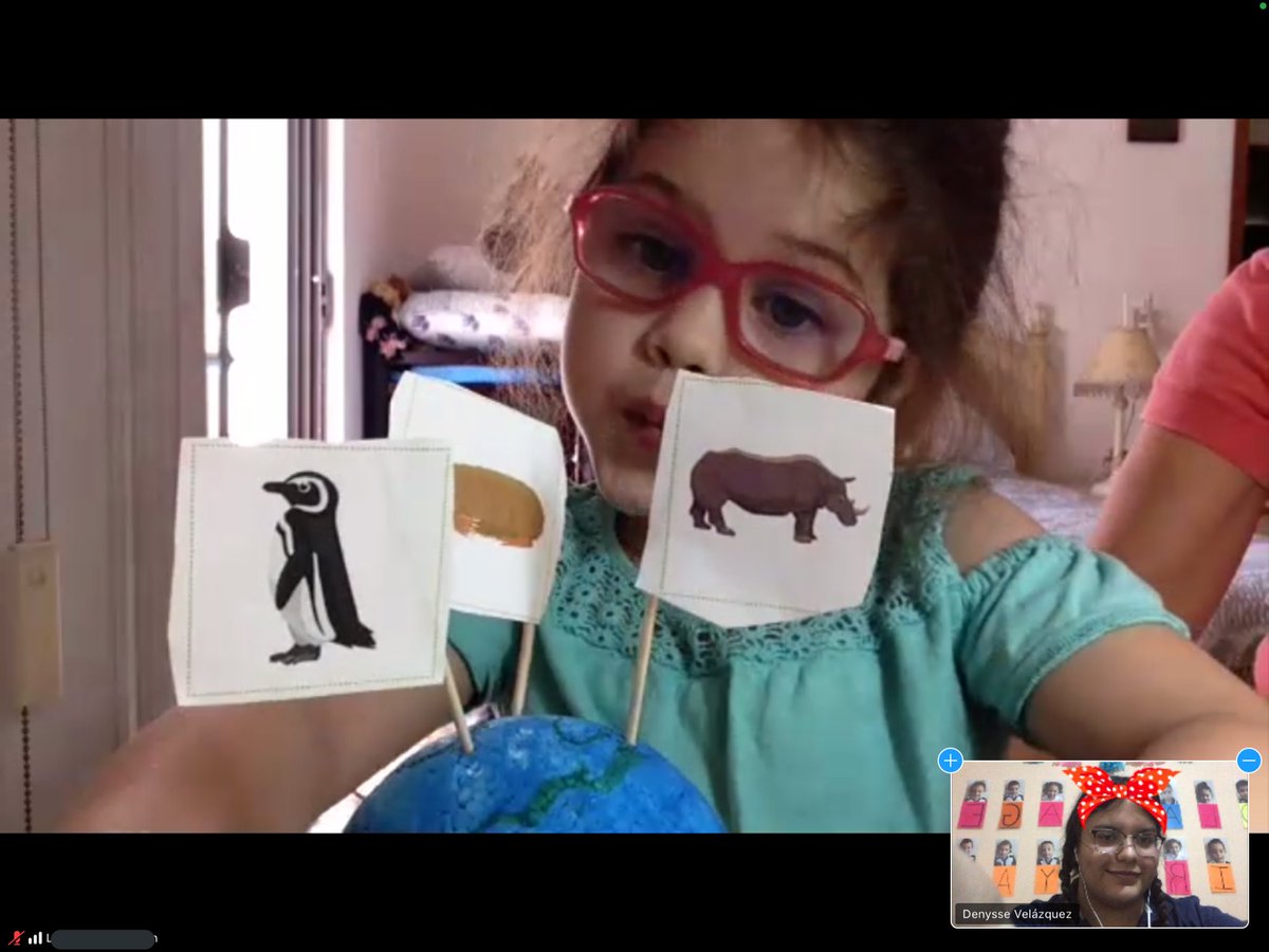 DenysseIMI's tweet photo. Endangered species in South Africa: rhinoceros, golden mouse, African penguin 🐧 🦏 🦔 K2 @MexicoIngles @AppleEDU @Knotion #appleteacher #learningfromhome #somosknotion #ourplanet https://t.co/EGn9VJUsjE