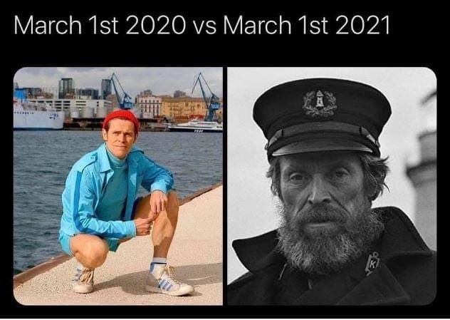 Utterly Feral tweet media