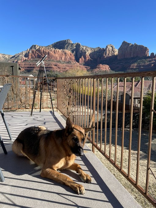 Who&rsquo;s a good boy https://t.co/WXW3xOWp56