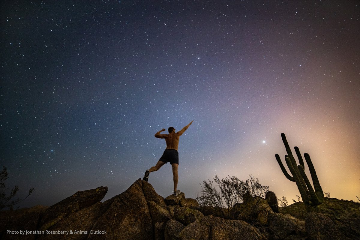 animaloutlook's tweet photo. Happy birthday @RobertCheeke - and congrats on your book release - we love to see you reaching for the stars 🌟 ✨ ⭐️ 📷 : @AdventureVegan #tryveg #vegan #veganstrong #plantbased https://t.co/NaX30sL0hk