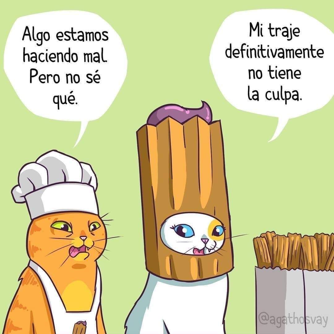 JRomeroRamirez's tweet photo. #gatitos #churro #humor #gatos https://t.co/VMAwtqPp3a