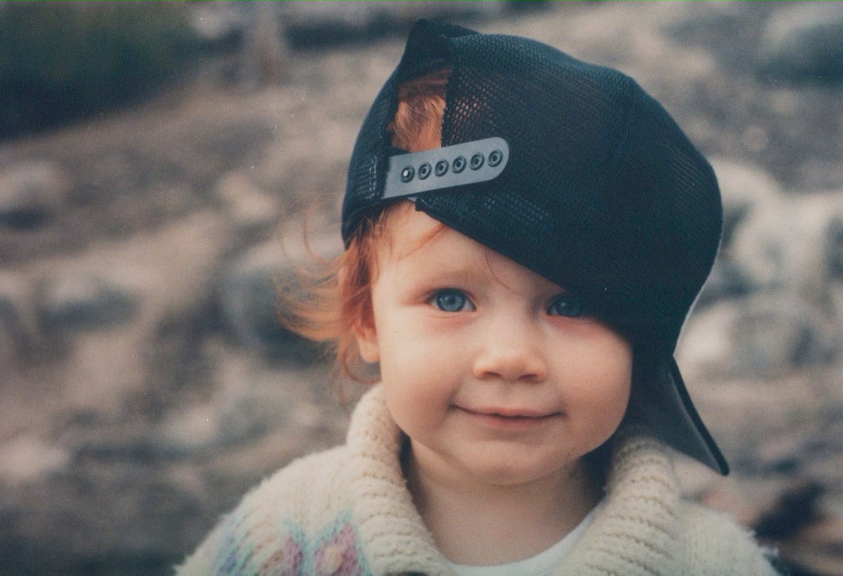 Bryce Dallas Howard tweet media