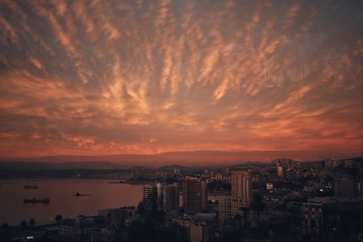 valpoturistico's tweet photo. ✨Los bellos atardeceres en #Valparaíso 🌅
beautiful sunsets in Valparaíso
#Fotografía de @sebarunner
#Sunset #Turismo #Valparadictos #Valparadise #Valpolovers #Valpolohizo #Chile #VisitaValpo #Valparaisoteesperasiempre https://t.co/XJFAsBHMFW