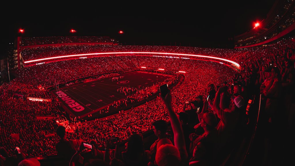 GeorgiaFootball's tweet photo. You just had to be there https://t.co/iPbhJZdmNT