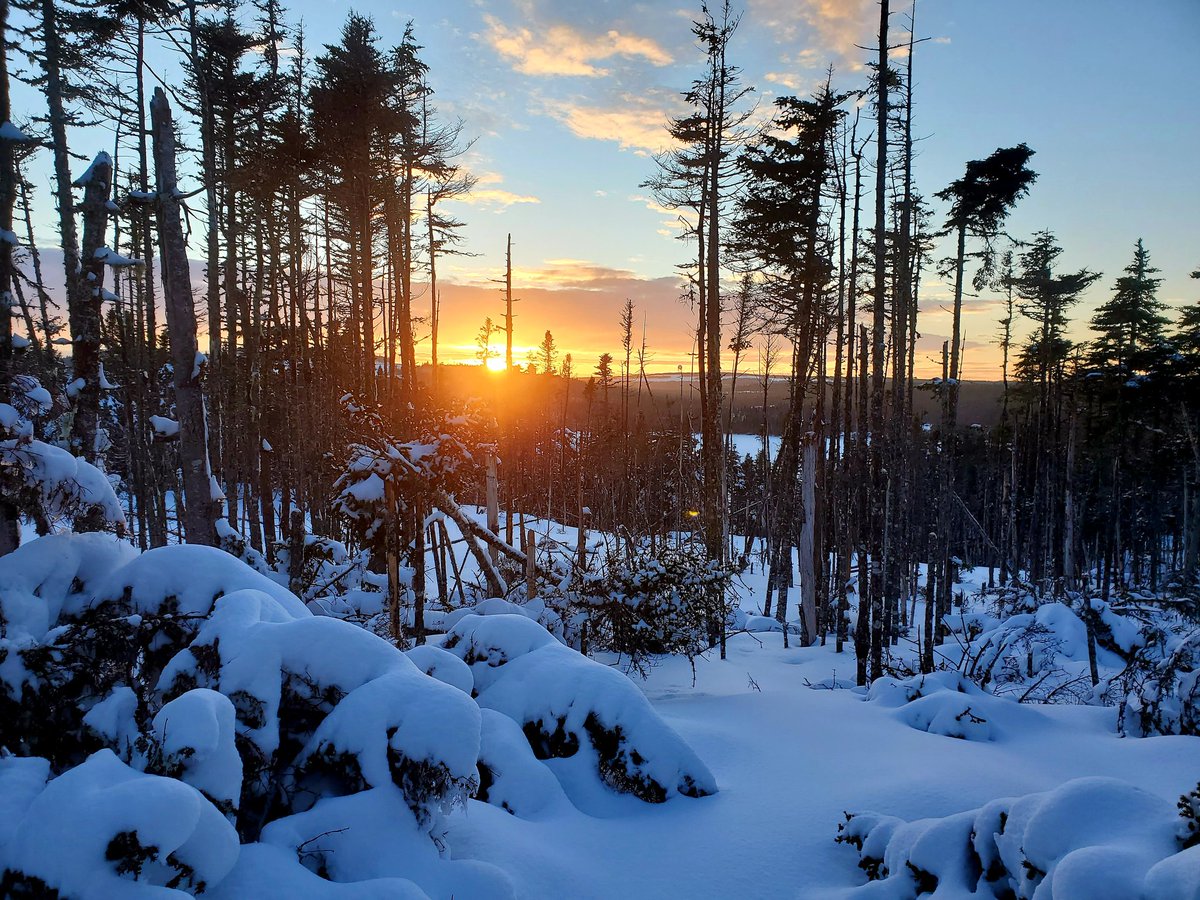 RayJCtweets's tweet photo. Sun setting on Robin's Pond @torbaynl #BeautifulTorbay https://t.co/xj9GVBXkWn