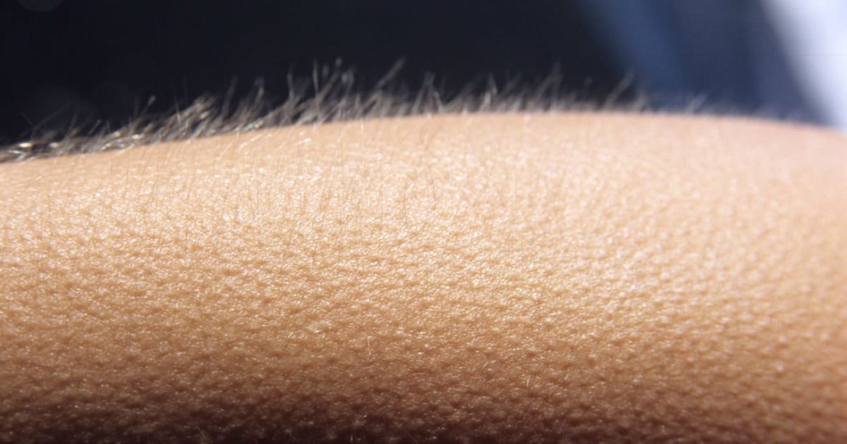 thelastpeterpan's tweet photo. sono la solitudine nascosta dietro un palcoscenico
sessualmente tutto
genere niente

essere è diritto di ognuno
#Sanremo2021 https://t.co/CycUnc1JWO