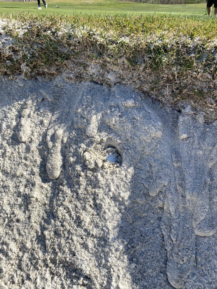 tribebrowns's tweet photo. What Would Patrick Reed Do. #WWPRD https://t.co/FnsBrZUFCD
