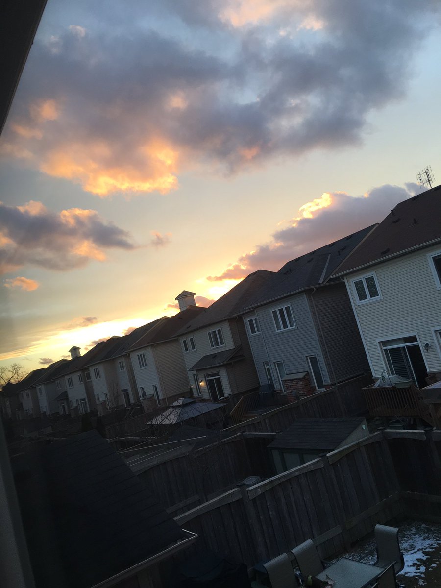 Erratic Wombat 💃 tweet media