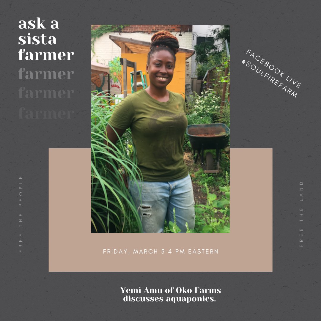 Join Leah Penniman and Yemi Amu of <a href="/OkoFarms/">Oko Farms</a>  Friday 3/5 on FB Live from 4-4:40 PM EST for another episode of Ask a Sista Farmer! Facebook.com/soulfirefarm