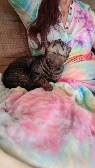 Purr..."Hey mom! Purr...purr...Whatcha doing???"....purr...purr ❤  And....my shirt matches my blanket<a href="/tag/gilfed"class="tags"><span>#gilfed</span></a>