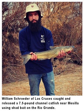 NMDGF's tweet photo. This fishing report, provided by Dustin Berg of Go Unlimited (supporting disabled anglers) and the Department of Game and Fish, has been generated from the best information available from area officers and anglers. #wildnm #fishnm #nmfishingchallenges
https://t.co/Rnh9t6syjH https://t.co/OZvCIHGUAR