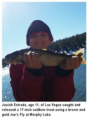 NMDGF's tweet photo. This fishing report, provided by Dustin Berg of Go Unlimited (supporting disabled anglers) and the Department of Game and Fish, has been generated from the best information available from area officers and anglers. #wildnm #fishnm #nmfishingchallenges
https://t.co/Rnh9t6syjH https://t.co/OZvCIHGUAR