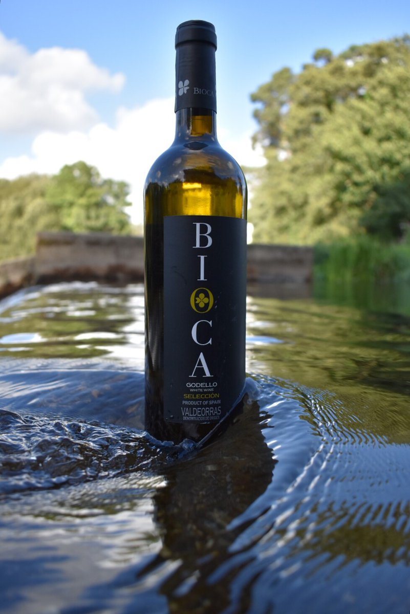 WINES.GAL tweet media