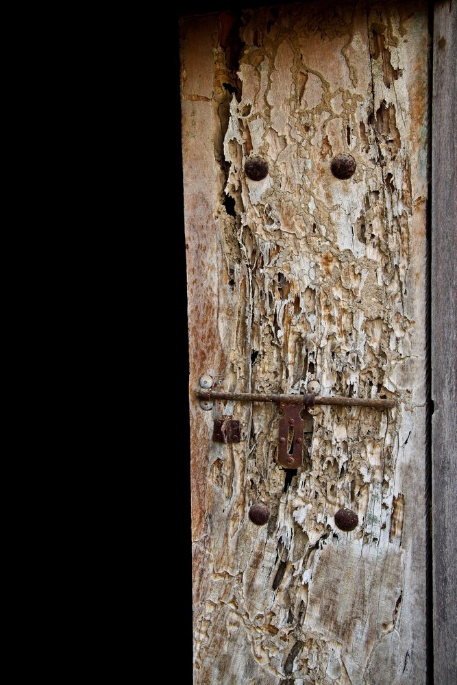 vAlbum | مكتبة الوسائط العمانية tweet media