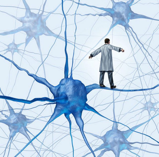 Prof_Neuron's tweet photo. عندما تتلف خلايا #الجهاز_العصبي_المركزي في #الدماغ أو #العمود_الفقري بسبب مرض أو إصابة ما، فإنها تفشل في التجدد، مما يحد من قدرة الجسم على التعافي. 
في ال��قابل، #الخلايا_العصبية_الطرفية التي تخدم معظم مناطق الجسم الأخرى أكثر قدرة على التجدد https://t.co/i9qN15DUAJ