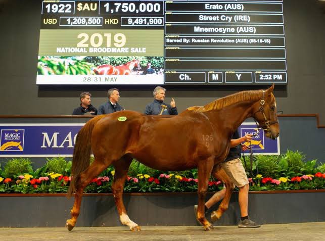 DJRobinson89's tweet photo. In the last 5yrs, 75% of Australia’s $500,000+ mares have sold at the Gold Coast National Broodmare Sale.
It’s the Southern Hemisphere’s number 1 breeding stock sale for a reason...
Achieving real results start here:
https://t.co/HY15OPB49X
#MMNational #GoldCoast @mmsnippets https://t.co/5uB1T4Qx8q