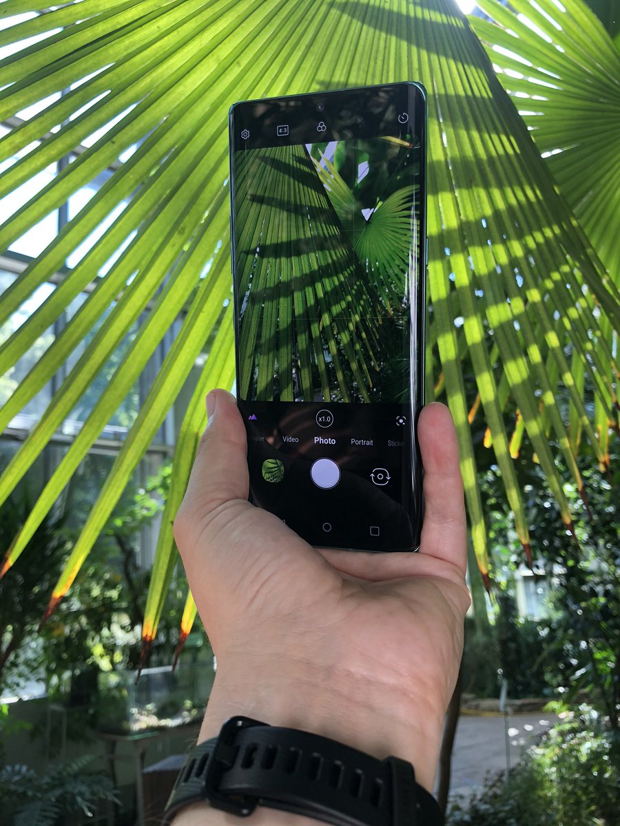 JaroslawMarciuk's tweet photo. Palm House (palmiarnia) in Lodz 🇵🇱
#mobilephography #LGvelvet #lodz #visitpoland https://t.co/8sZ5H9dXcu