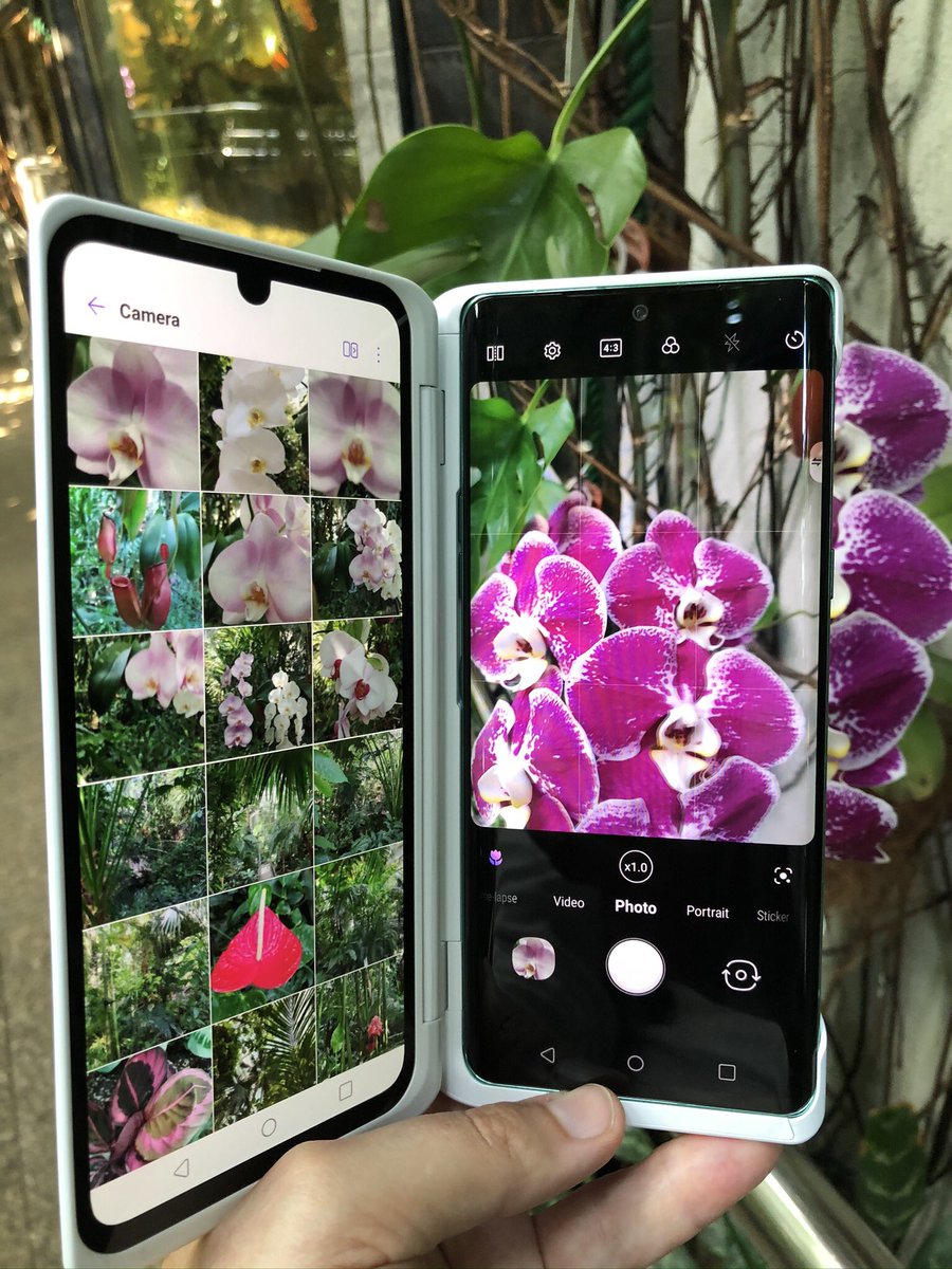 JaroslawMarciuk's tweet photo. Palm House (palmiarnia) in Lodz 🇵🇱
#mobilephography #LGvelvet #lodz #visitpoland https://t.co/8sZ5H9dXcu