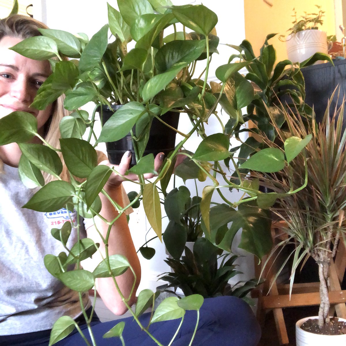 Casey Nelson tweet media