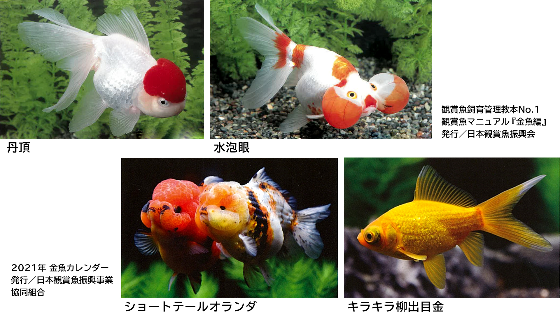 See Maff Japan S Tweet Twitter