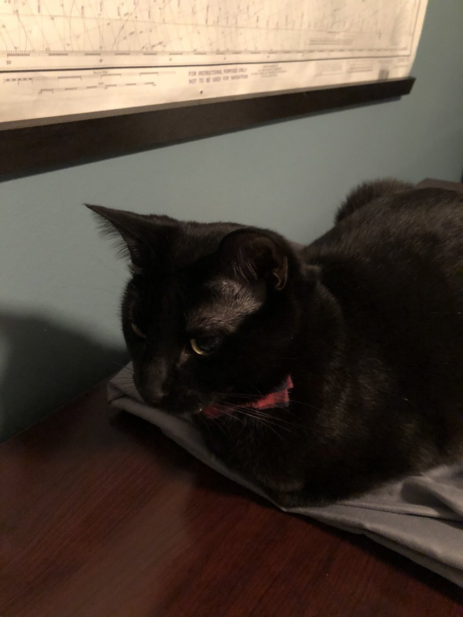 Katherine L.D. Running tweet media