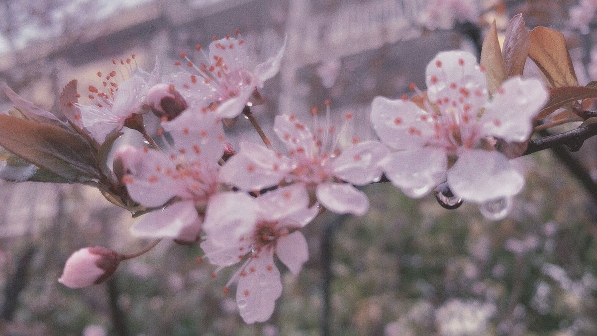 do6foo2's tweet image. 