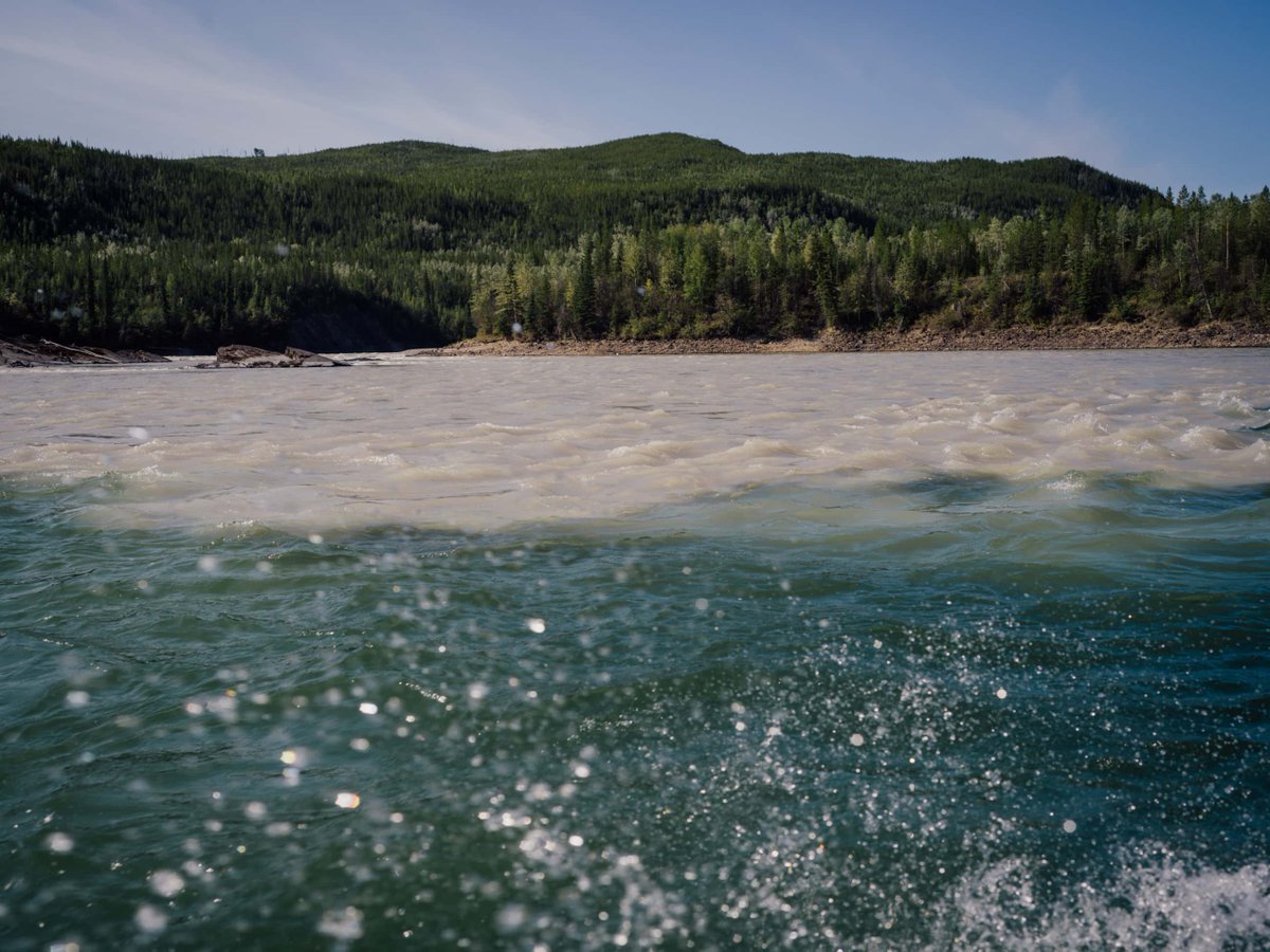 DenaKayeh's tweet photo. As we enter the light of spring here in #DenaKeyeh, many of us are looking forward to the warm and longer days ahead.
What are you looking forward to pursuing this spring?
#indigenousprotectedareas #KaskaDena #lifeahead #solutions https://t.co/alfg7IAekg