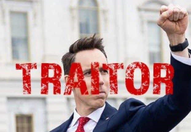 TGIFrani's tweet photo. Not even informing #traitorhawley that he's on notice by stating; The @FBI is closing in on US Congressmembers in both houses are being seriously VETTED after the #1621insurrection. https://t.co/r6YekkYU4y
