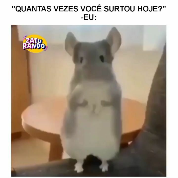 zaturando's tweet photo. Só ✌️ https://t.co/B95zNwjozB https://t.co/a0rr0B652u