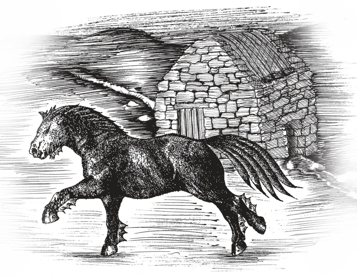 Our mythical creature'sWe've got the friendly Wulver who guides the lost and feeds the poor. The Njuggl that'll take a hold of you and drown you. The mischievous Trowies that'll steal you away and Selkies, folk that turn into seals.