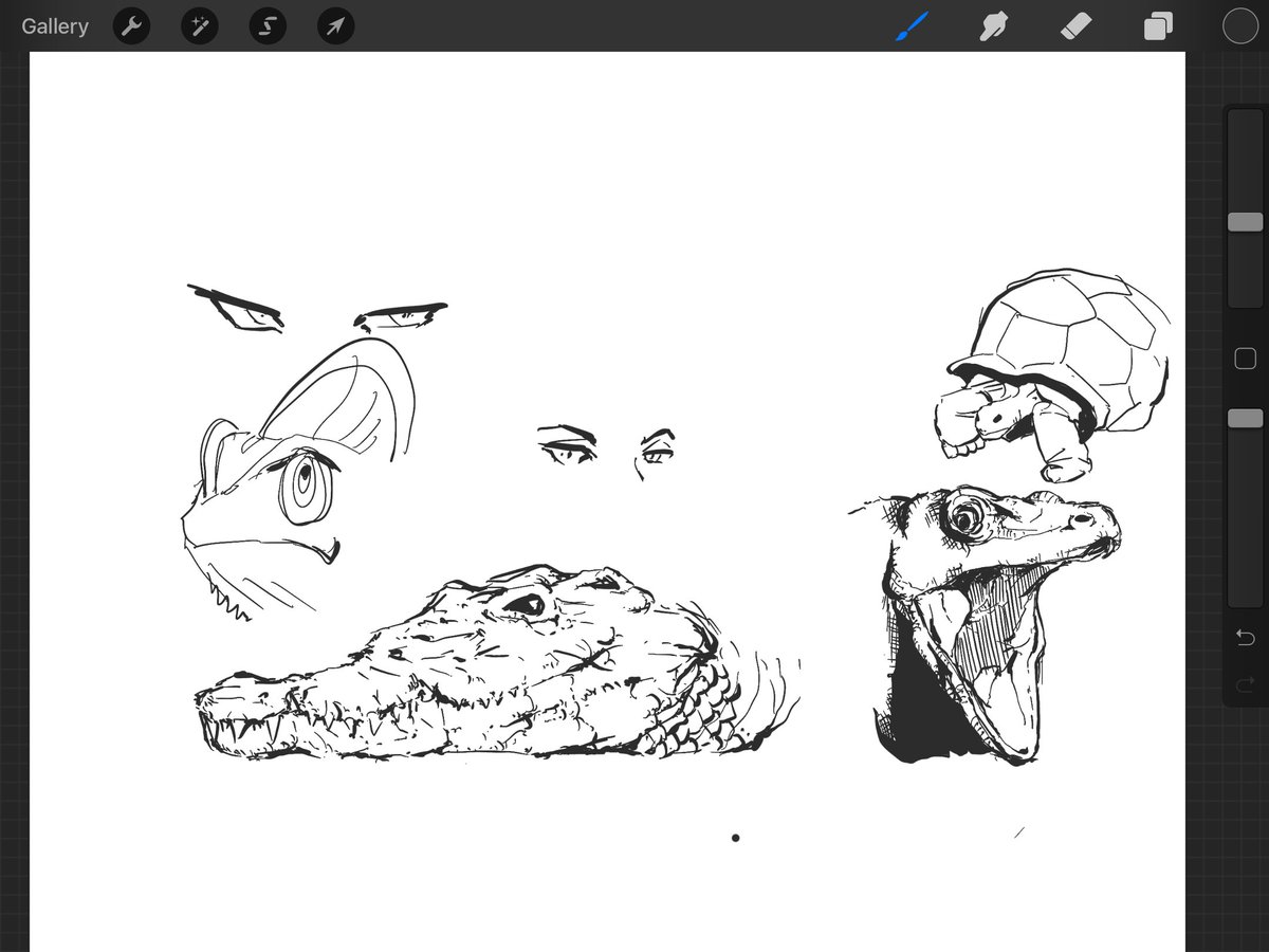 scaly bois for warm-up 
