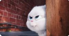🦔 💕MyeS🎀 (@iam_ginghs) on Twitter photo <a href="/boojiemainedcm/">ᴮᵒᵒʲⁱᵉ ⱽ² 부지</a> okay, okay hahaha
“Why is a useless question, an unknowable object. But to suspend thought is impossible. The mind is made perfectly of possibilities.”
― Sarah Hall, Mrs. Fox
#MaineAt26
#MaineMendozaLostWithYou
<a href="/mainedcm/">Maine Mendoza</a> | #MaineMendoza <a href="/boojiemainedcm/">ᴮᵒᵒʲⁱᵉ ⱽ² 부지</a> okay, okay hahaha
“Why is a useless question, an unknowable object. But to suspend thought is impossible. The mind is made perfectly of possibilities.”
― Sarah Hall, Mrs. Fox
#MaineAt26
#MaineMendozaLostWithYou
<a href="/mainedcm/">Maine Mendoza</a> | #MaineMendoza