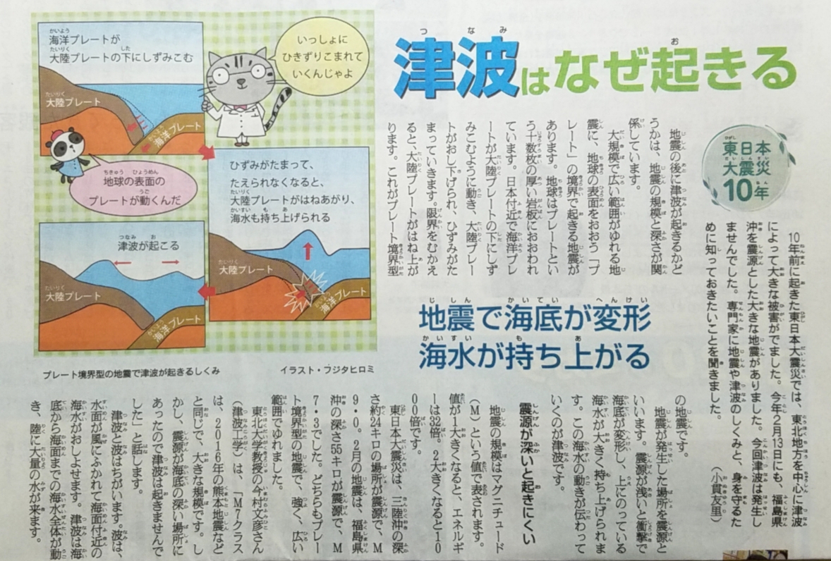 今村文彦 今村文彦
