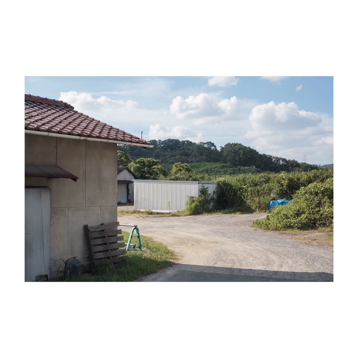 Watanabe (@mikiowatanabe6) on Twitter photo 