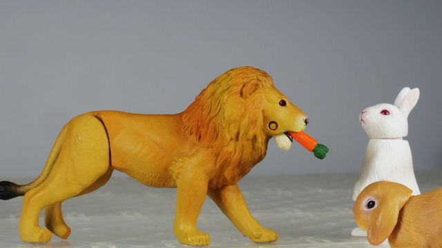 Acm しかめ面おじさん 手元のアニアで ライオンさんの目が赤いのはどうして ニンジンを食べるからさ アニア うさぎの日