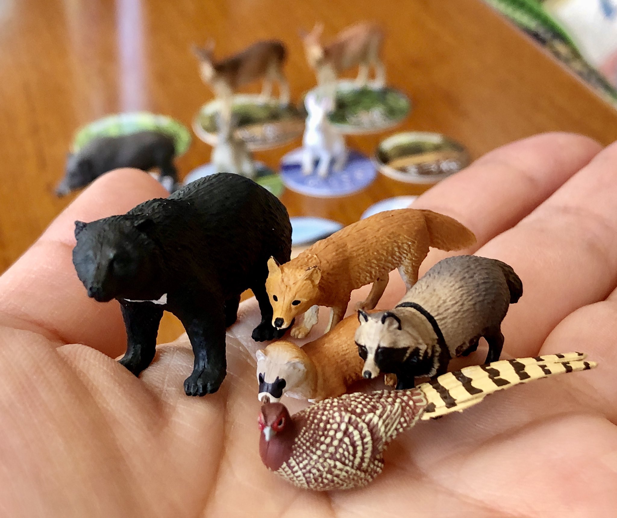 スッポンモドキ フィギュア ネイチャーテクニカラー ネイチャー