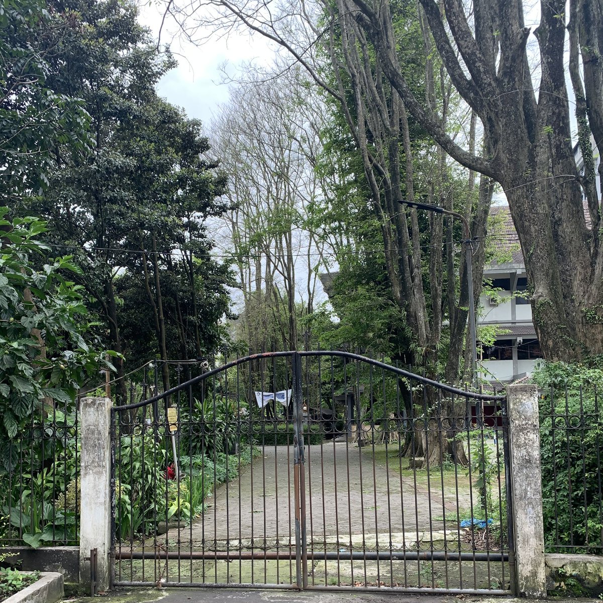 infoUB's tweet image. Lek ga salah biyen enek seng dodol cimol ndo cidek kene 😁