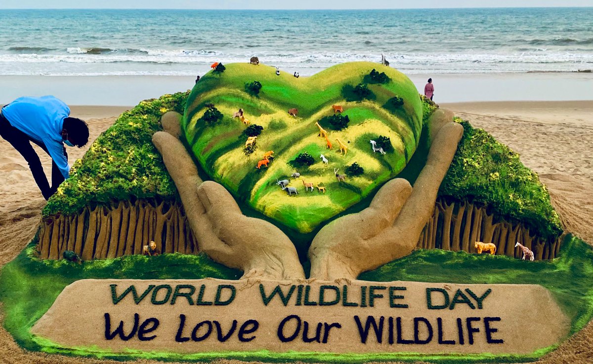 sudarsansand's tweet photo. On #WorldWildlifeDay My SandArt at Puri beach in Odisha with message We love our wildlife. https://t.co/YowxSZ31c5