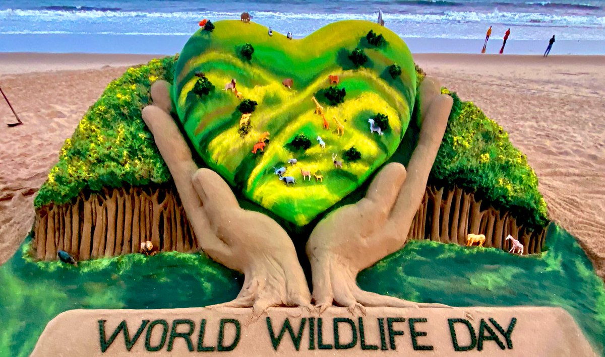 sudarsansand's tweet photo. On #WorldWildlifeDay My SandArt at Puri beach in Odisha with message We love our wildlife. https://t.co/YowxSZ31c5